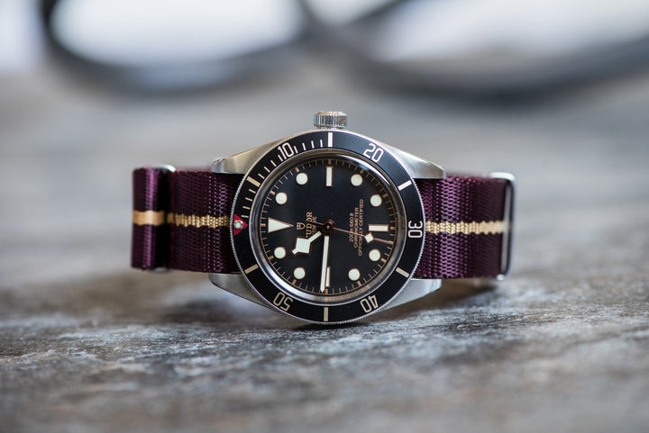 AlphaShark - Cardinal - BluShark Straps