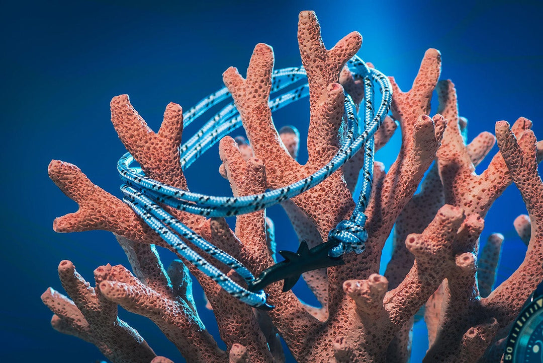 BluShark Straps Bracelets Paracord Shark Bracelet - Blue